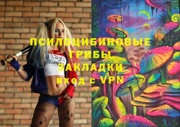 хмурый Дмитровск