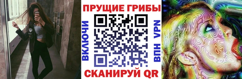 KRAKEN маркетплейс  Аксай  Псилоцибиновые грибы Psilocybe 